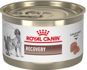 ROYAL-CANIN-RECOVERY-DOGS-AND-CATS-195-G-TIN