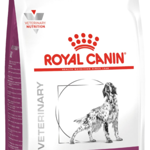 ROYAL-CANIN-RENAL-ADULT-DOG-DRY-FOOD.